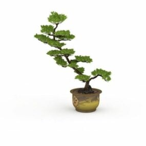 Potted Cypress Tree 3d model