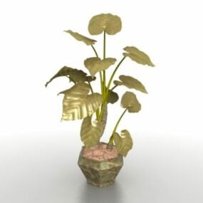 نموذج ثلاثي الأبعاد لنباتات أذن الفيل في وعاء