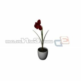 Potted Flower Miniascape Plant 3d model