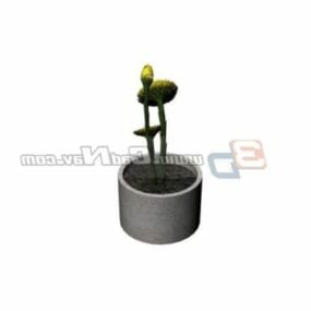 Potted Flowers Bonsai Plant 3d model