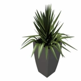 Potted Gladiolus With White Pot 3d model