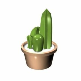 Cactus Plant Pot On Table 3d model
