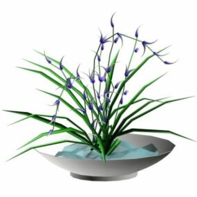 Potted Orchids 3d model
