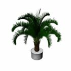 Planta de palma en maceta