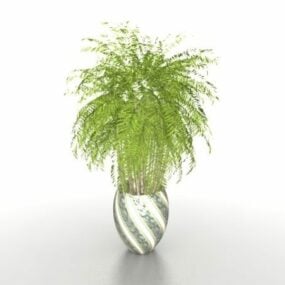 Potted Palm Trees 3D-malli
