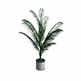 Potted Plant Cycas 3d model