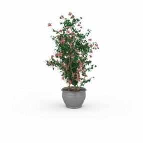 Potteplante med blomster 3d-modell
