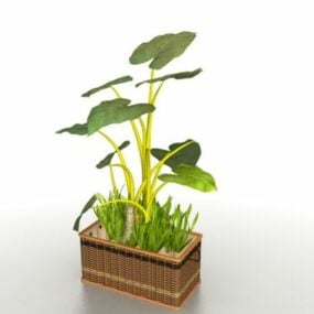 盆栽の鉢植え3Dモデル