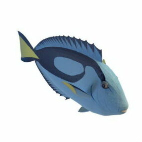 Powderblue Surgeonfish Animal τρισδιάστατο μοντέλο