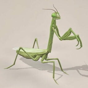 Gold Mantis animado com Rig Modelo 3D