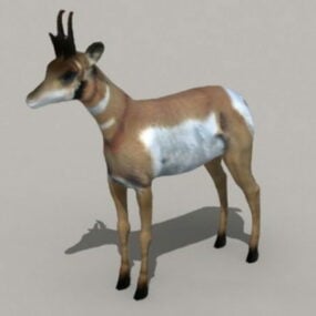 3д модель вилорогой антилопы
