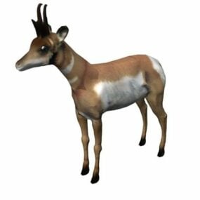 Modello 3d dell'animale selvatico Pronghorn