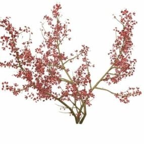 Prunus Avium עץ דובדבן בר דגם תלת מימד
