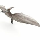 Ainmhí Dineasár Pteranodon
