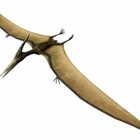 Pterodactylus Sinek Dinozor 3d modeli