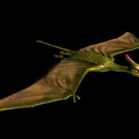 Pterosaur Animation 3D-malli