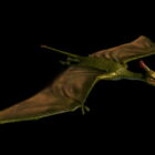 Pterosaur vliegende dinosaurus Rigged