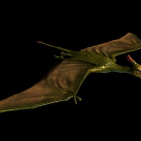 Pterosaur létající dinosaurus Rigged 3D model