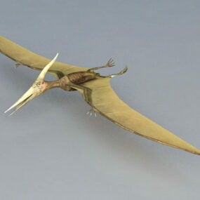 Múnla 3d de Reiptílí Eitilte Pterosaur Dineasár