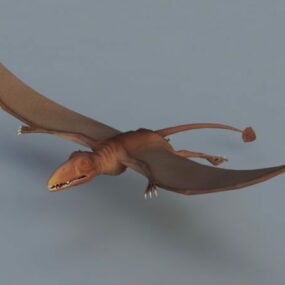 Ptérosaure et squelette modèle 3D