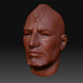 Punky Man Head Sculpt Mesh 3d model