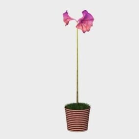 보라색 꽃 아마릴리스 화분 3d 모델