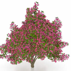 Purple Flowering Tree 3d model