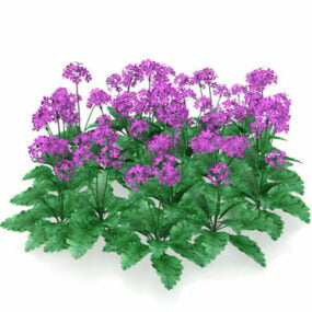 紫の花、植物3Dモデル
