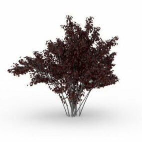 3д модель сливового дерева с фиолетовыми листьями