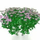 紫のヒマワリ植物