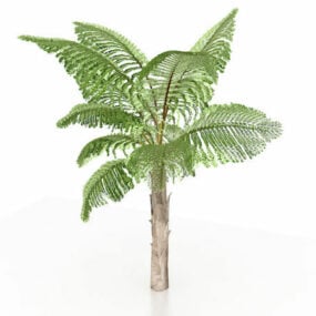 Queen Anne Palm Tree 3d model
