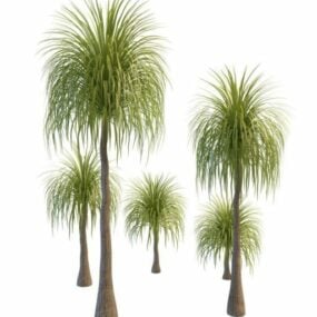 Queen Palm Trees 3d-malli