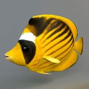 Modelo 3d de peixe borboleta guaxinim