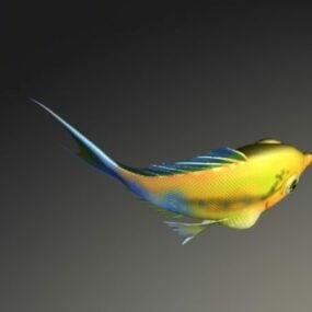 مدل Rainbow Parrotfish انیمیشن Rig 3d
