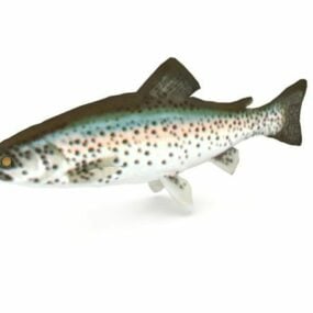 Regnbueørred Fisk Dyr 3d model