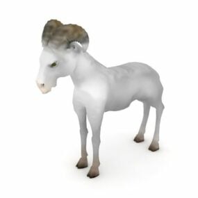 Ram Sheep Animal 3d model