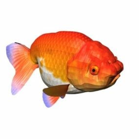 Ranchu Goldfish Fish Animal 3d-malli