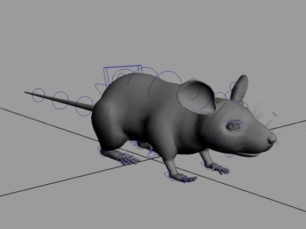 Ratto Mouse Rig