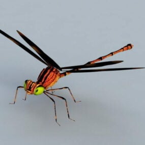 Modelo 3d de libélula roja