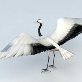 Red Head Crane Bird 3d model