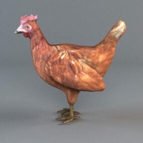 Modelo 3d de galinha vermelha