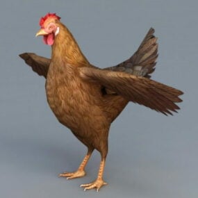Red Hen Chicken 3d-model