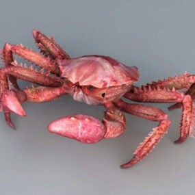 Crabe royal rouge modèle 3D
