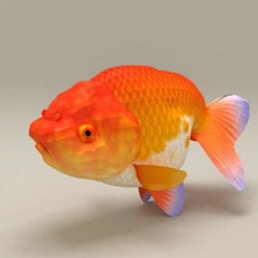 Red Ranchu Goldfish Animal 3D-malli