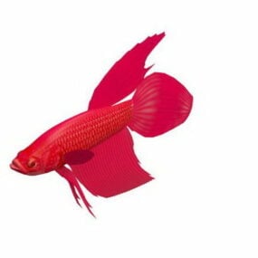 Mô hình 3d động vật cá Betta đỏ