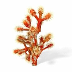 Red Coral 3d model