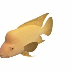 붉은 악마 수족관 물고기 3d 모델