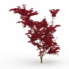 Model 3d Pokok Maple Merah