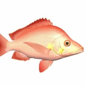 Red Salmon Fish Animal 3d model