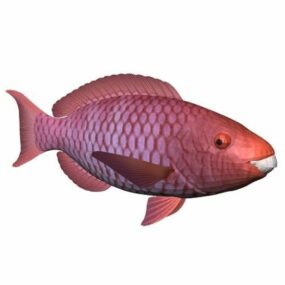 Red Snapper Fish Animal דגם תלת מימד